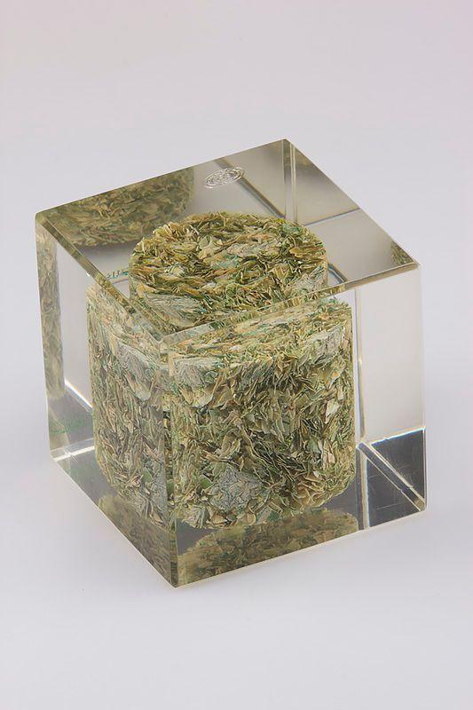 Acryl Statuette -  AKR006